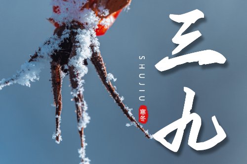 今冬最冷时间表大全