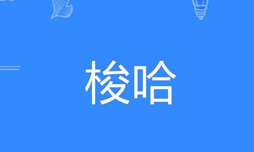 梭哈是什么意思