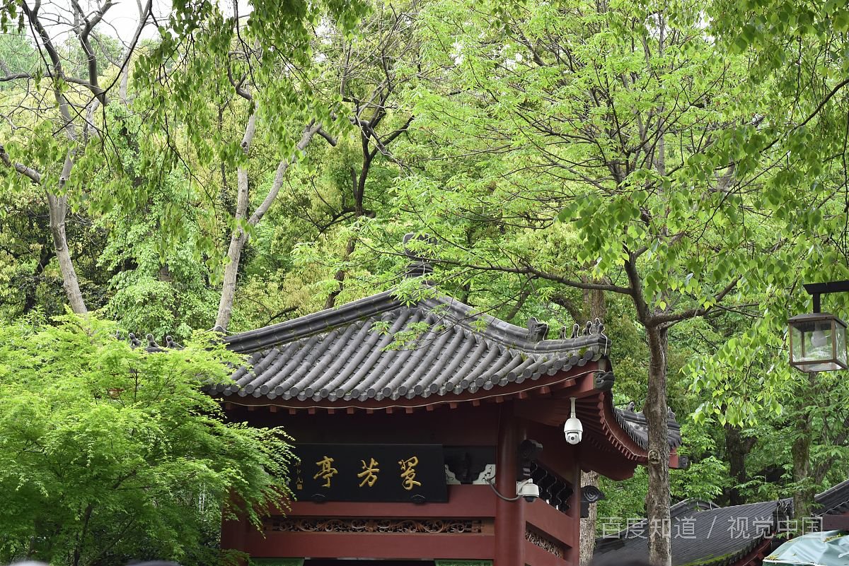 为什么说年轻女生不要过度共情男人？你知道哪些事情能佐证这个观点？