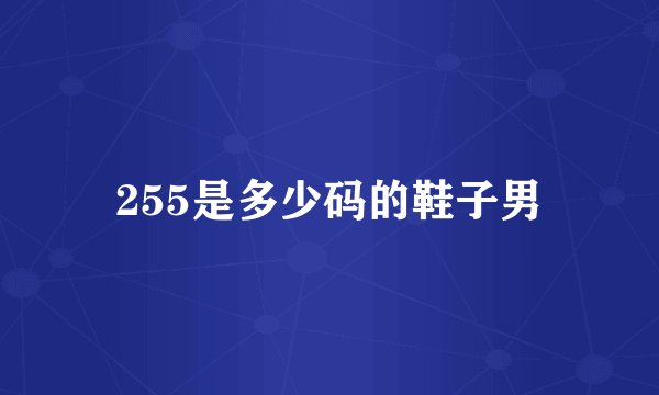 255是多少码的鞋子男