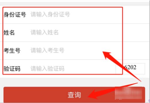 如何查初中学生成绩?