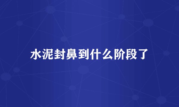 水泥封鼻到什么阶段了