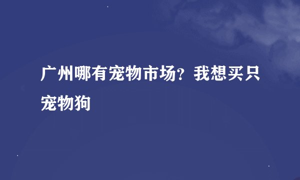 广州哪有宠物市场？我想买只宠物狗