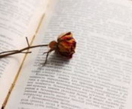 比较高级的英文群名