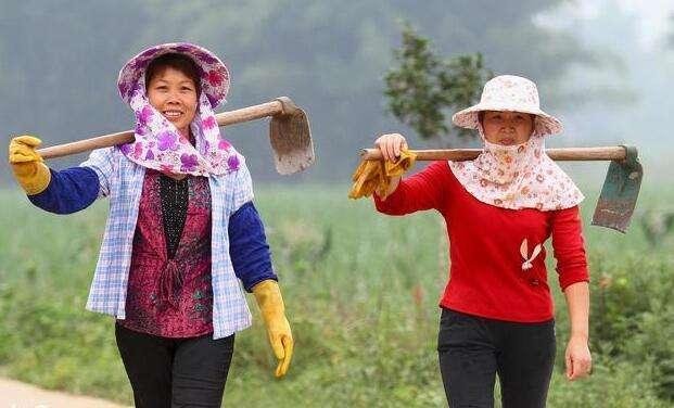 出嫁女 败诉 出嫁女是指