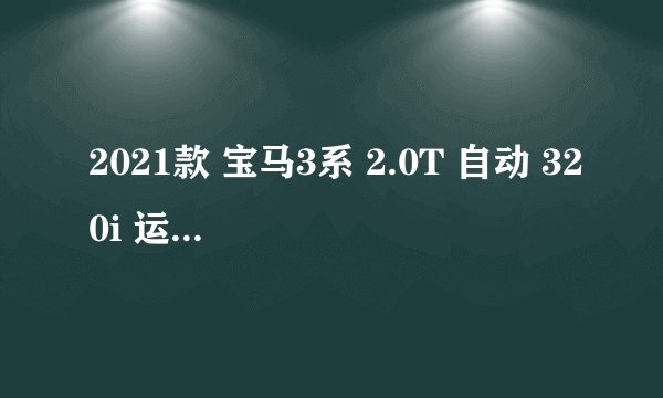 2021款 宝马3系 2.0T 自动 320i 运动套装 9万公里保养项目费用