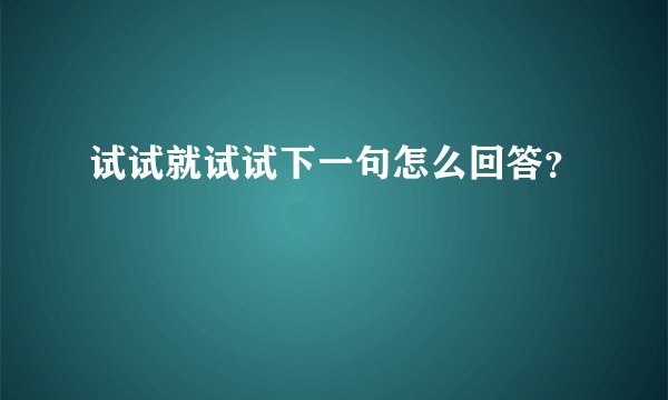 试试就试试下一句怎么回答？
