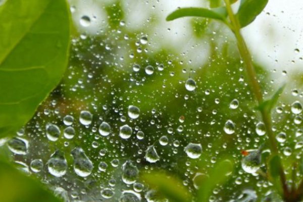 心情湿度表中的湿度代表了什么