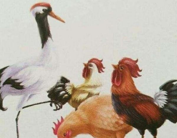 鹤骨鸡肤的反义词