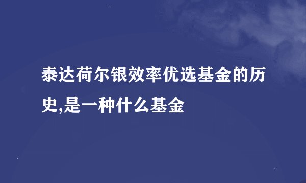 泰达荷尔银效率优选基金的历史,是一种什么基金