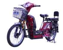 我是江西南昌的，想买辆电动自行车，不知选那种牌子的好？请大家帮忙推荐一下