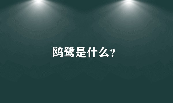 鸥鹭是什么？