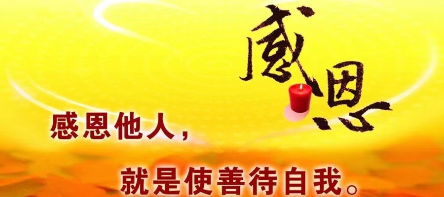 梦醒十分天未亮这首诗的诗名叫?