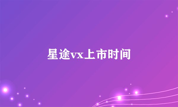 星途vx上市时间