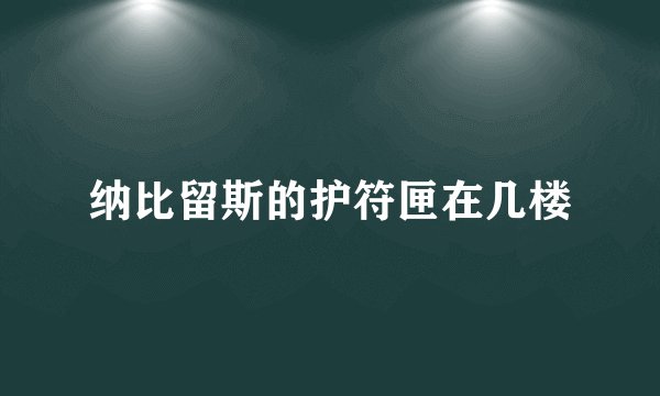 纳比留斯的护符匣在几楼