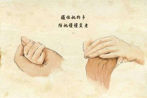 母亲的味道这本书的主要内容