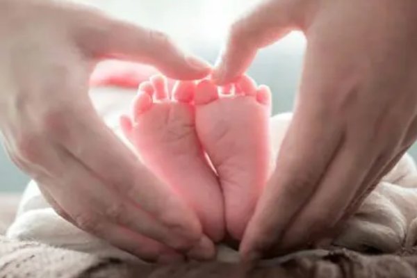 生命的执着是什么