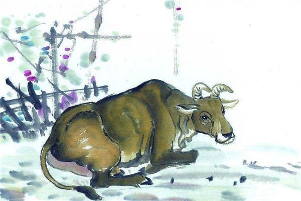 2009年属牛的什么命