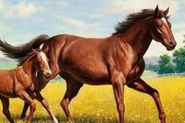 春风衰草打一生肖