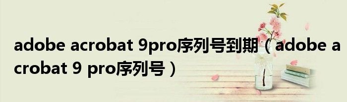 adobeacrobat9pro序列号到期adobeacrobat9pro序列号