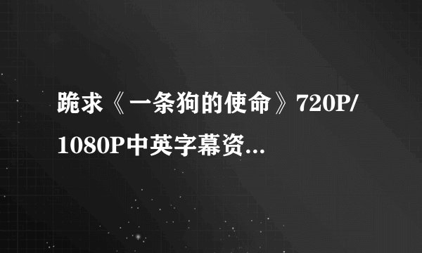 跪求《一条狗的使命》720P/1080P中英字幕资源，百度云，急！！！