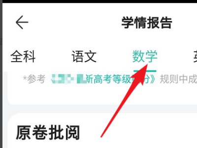 怎么登录www.jseea.com怎么查看考试分数啊？