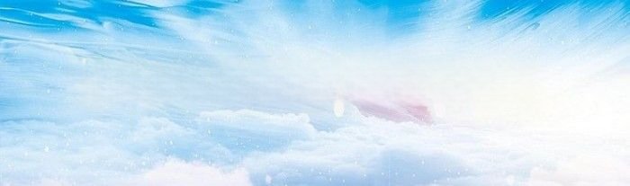 种子发布系统怎么用（种子发布）