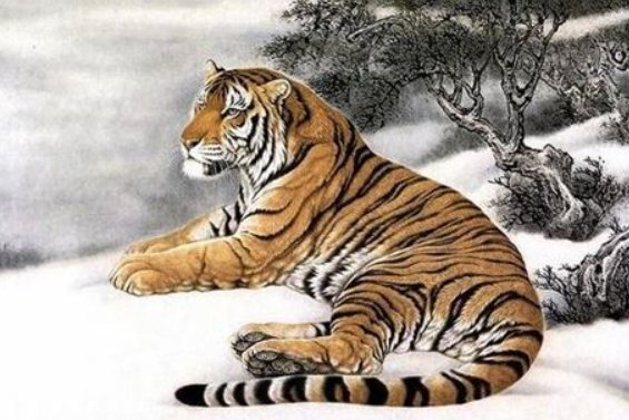 妾妇之道比喻什么生肖