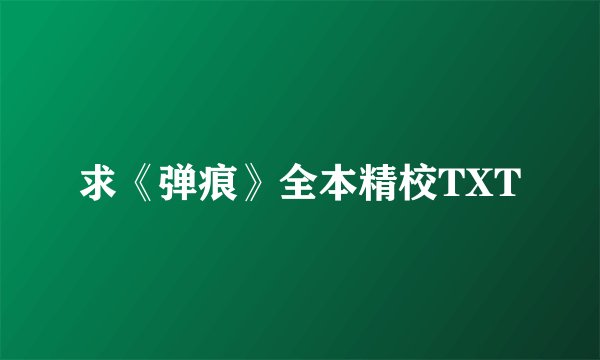求《弹痕》全本精校TXT