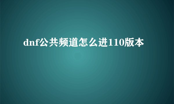 dnf公共频道怎么进110版本