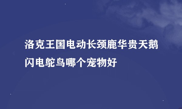 洛克王国电动长颈鹿华贵天鹅闪电鸵鸟哪个宠物好