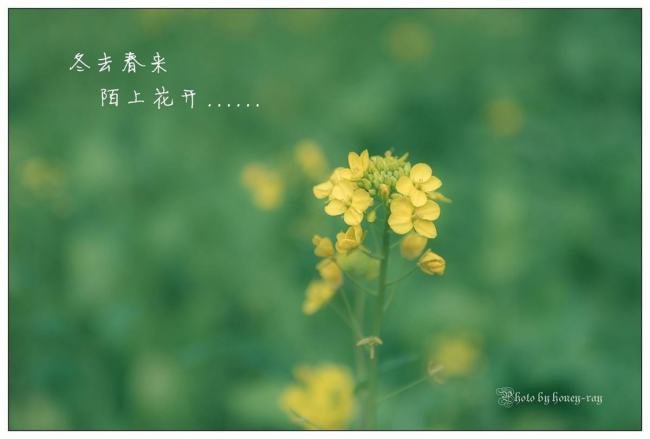 春去春来春又回下一句我该说什么