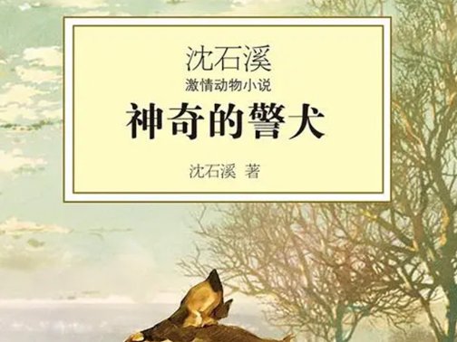 沈石溪的书为什么成禁书了