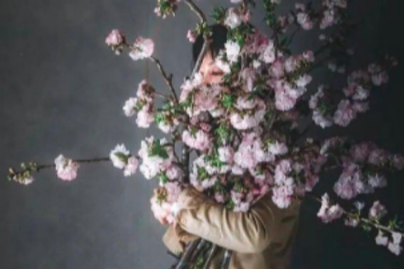 私货是什么意思