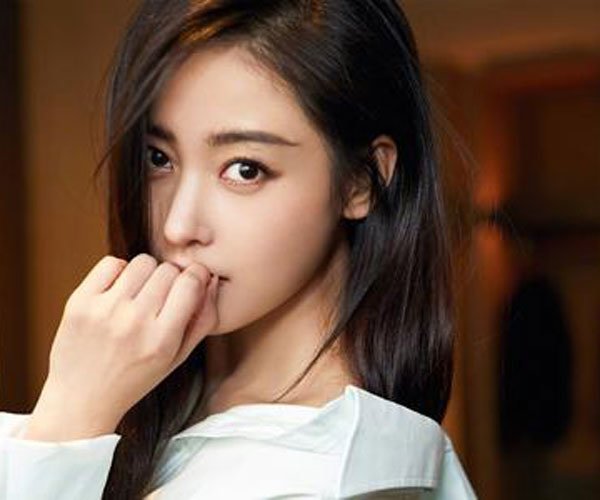 许文志名下的公司 张天爱的金主果然实力非凡