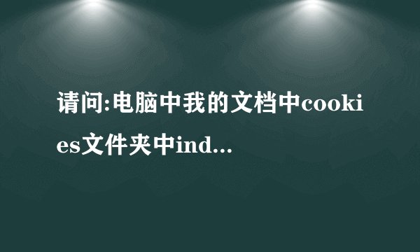 请问:电脑中我的文档中cookies文件夹中index.dat是什么文件？
