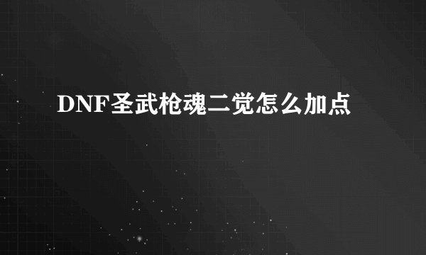 DNF圣武枪魂二觉怎么加点