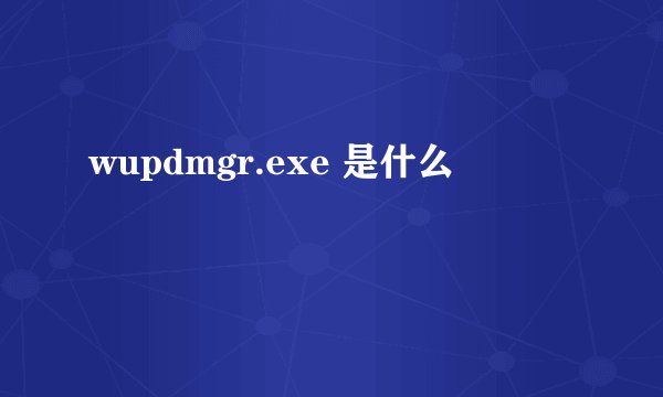 wupdmgr.exe 是什么