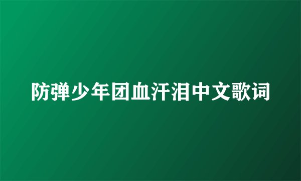 防弹少年团血汗泪中文歌词