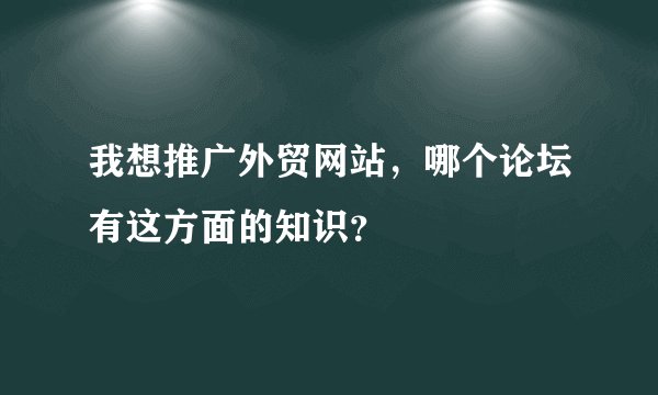 我想推广外贸网站，哪个论坛有这方面的知识？