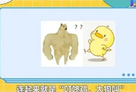 叮咚鸡是什么意思？