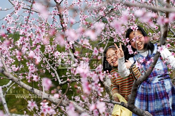 香野春色的介绍