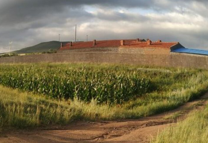 树高千丈落叶归根下一句是什么？