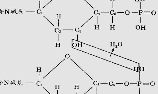 kd是什么意思？