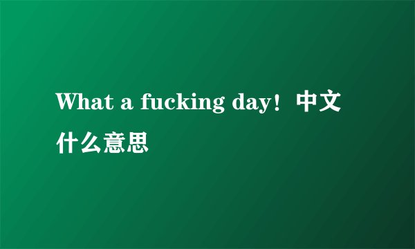 What a fucking day！中文什么意思