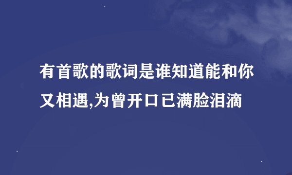 有首歌的歌词是谁知道能和你又相遇,为曾开口已满脸泪滴