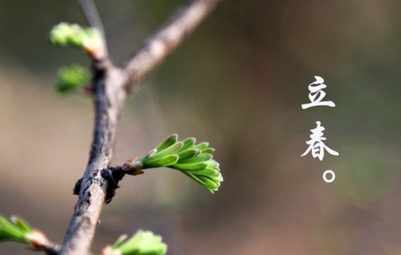 立春女儿回娘家住禁忌