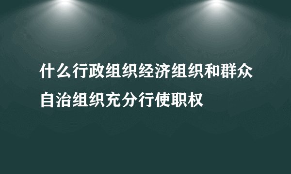 什么行政组织经济组织和群众自治组织充分行使职权