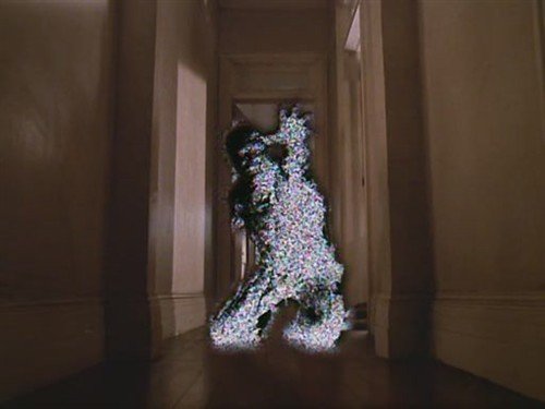 变形博士的介绍