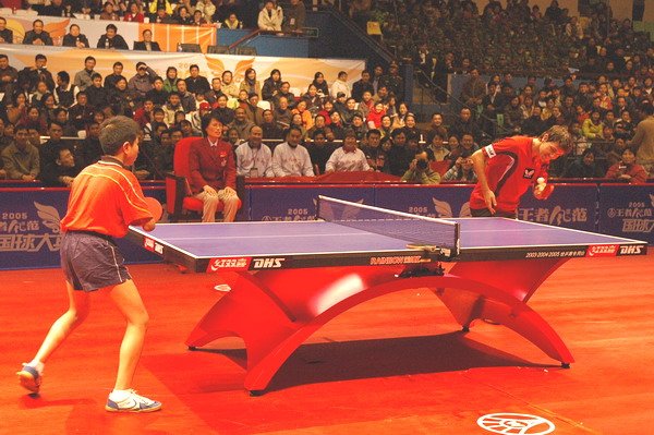 国球大典的发展历程